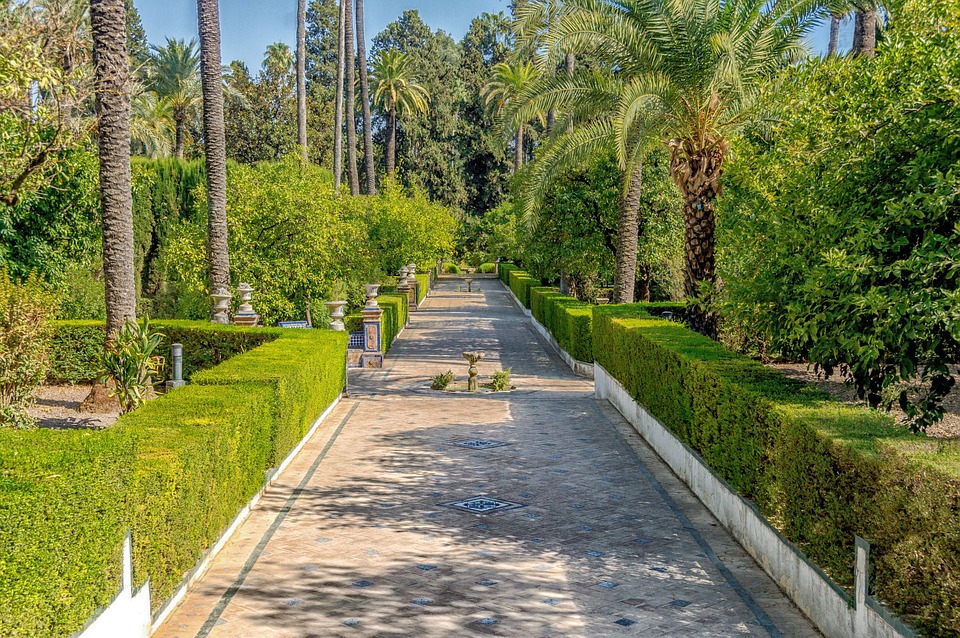 Anoi Acelerar mineral Las Palmeras en el Jardín - Nuevos Jardines | Jardinería | Lugo | A Coruña  | Ourense