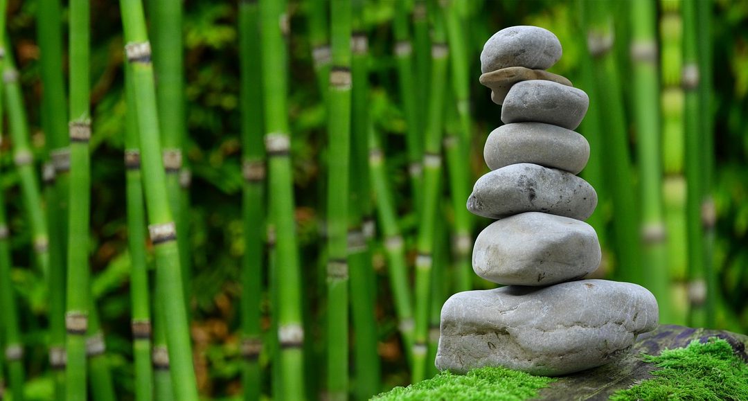 El Feng Shui en el jardín