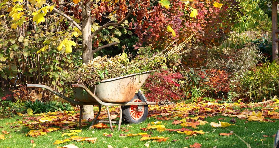 Las tareas de septiembre en nuestro jardín