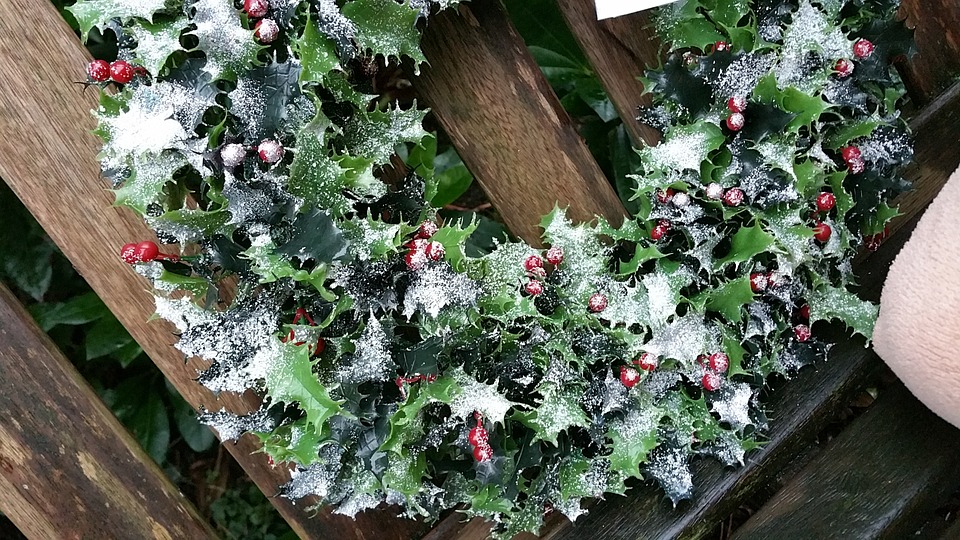 Tareas de Invierno en el Jardín