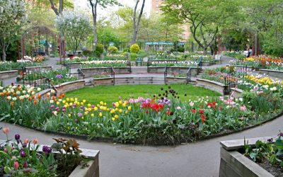 Huertos y jardines urbanos