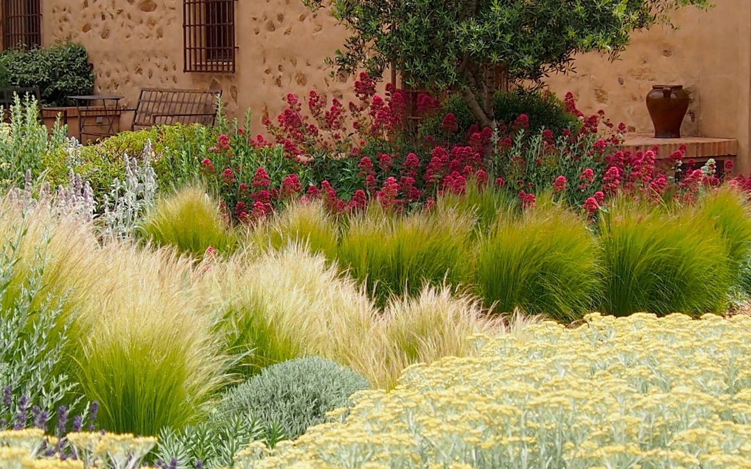 Olores en el jardín, lavanda y otros